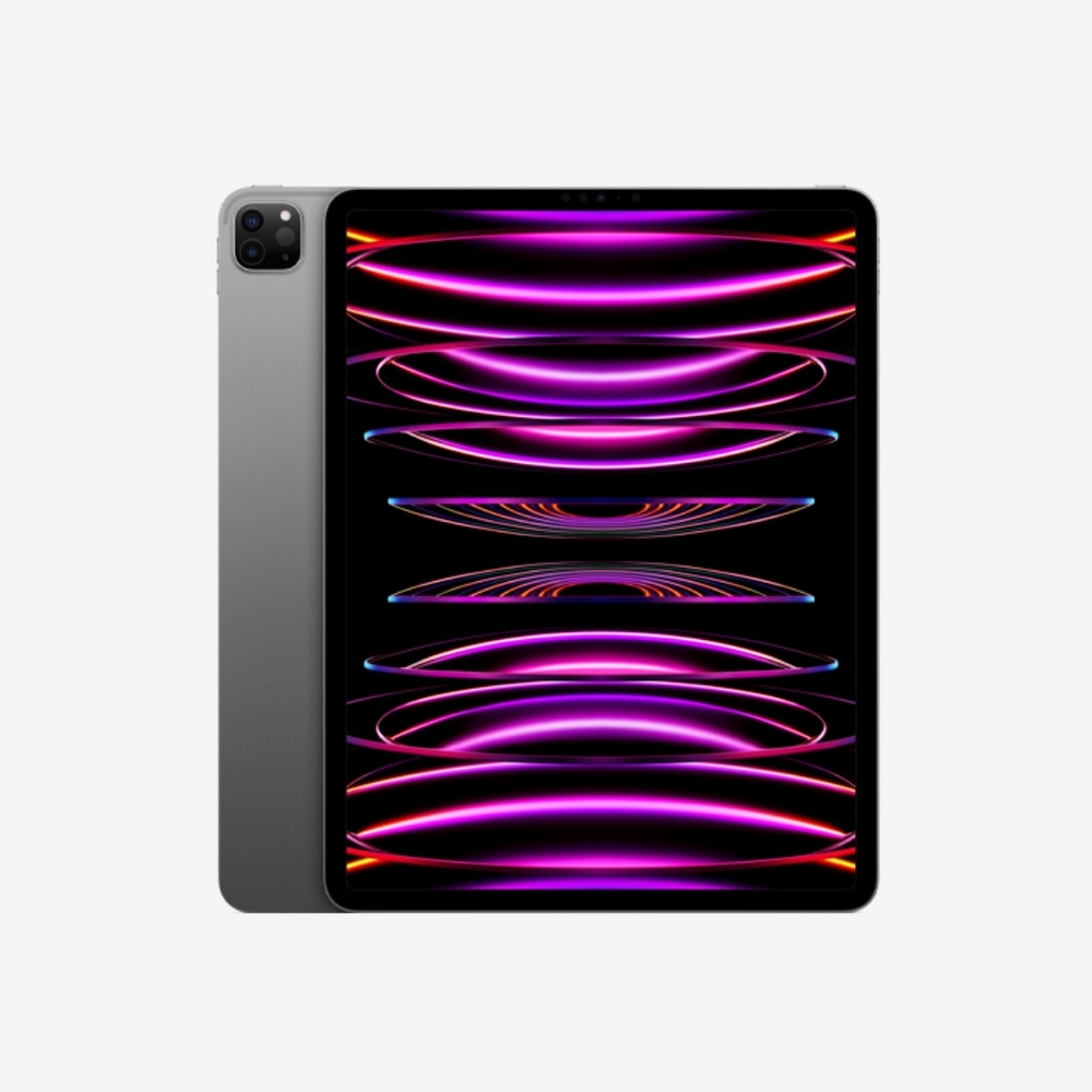 Ipad pro 12.9 inch 256GB